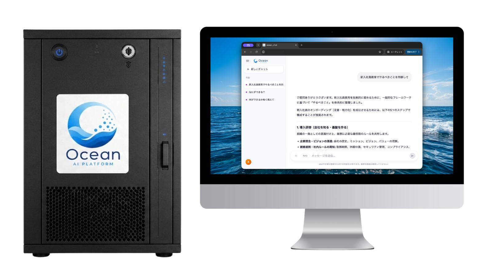 A secure office and a dedicated AI server kept inside the organization
